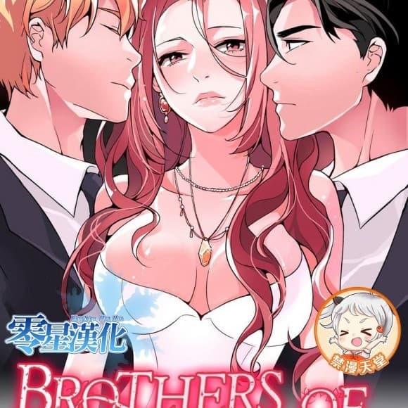 灰姑娘的哥哥們 Brothers of Cinderella cover