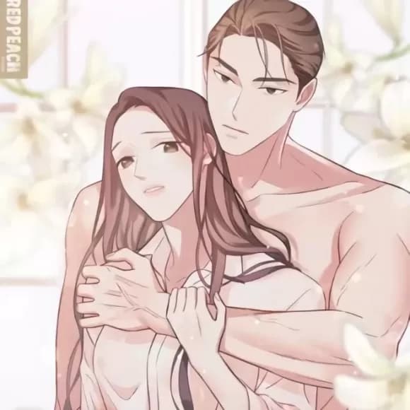 嘗試吧,金助理 cover
