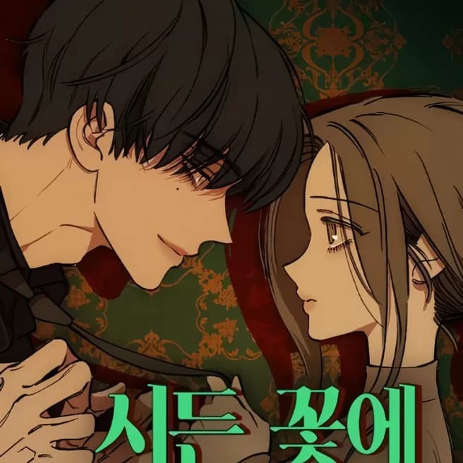 枯萎之花上的眼淚 cover